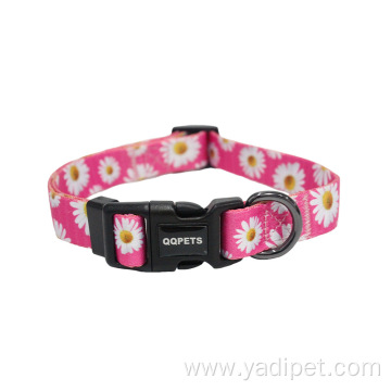 heat transfer printed dog collar